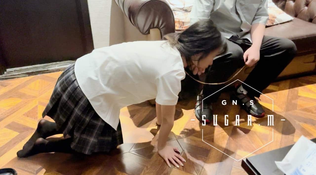 极品女奴甜狗VIP合集1.8G